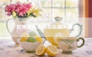 貂蝉接招徐晃怎么加天赋点