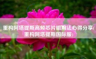 重构阿塔提斯高频芯片组用法心得分享(重构阿塔提斯国际服)
