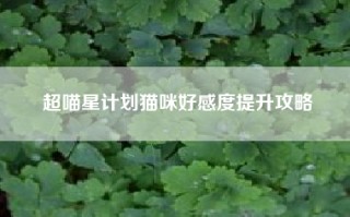超喵星计划猫咪好感度提升攻略