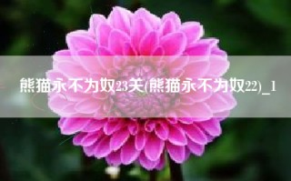 熊猫永不为奴23关(熊猫永不为奴22)_1