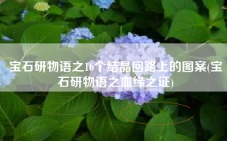 宝石研物语之16个结晶回路上的图案(宝石研物语之血缘之证)