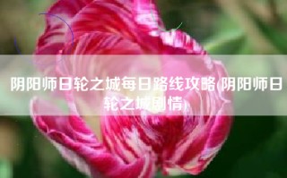 阴阳师日轮之城每日路线攻略(阴阳师日轮之城剧情)