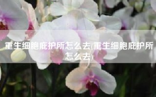 重生细胞庇护所怎么去(重生细胞庇护所怎么去)