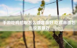 手游吃鸡拾取怎么设置最好,吃鸡画面怎么设置最好