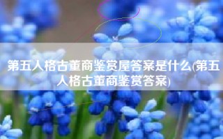 第五人格古董商鉴赏屋答案是什么(第五人格古董商鉴赏答案)