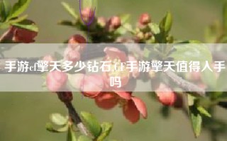 手游cf擎天多少钻石,CF手游擎天值得入手吗