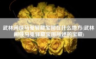 武林闲侠马嵬驿藏宝图在什么地方(武林闲侠马嵬驿藏宝图所述的宝藏)