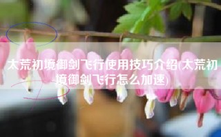 太荒初境御剑飞行使用技巧介绍(太荒初境御剑飞行怎么加速)