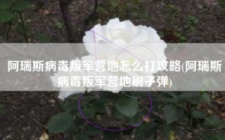 阿瑞斯病毒叛军营地怎么打攻略(阿瑞斯病毒叛军营地刷子弹)