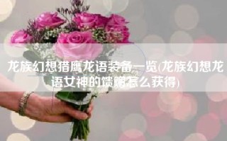 龙族幻想猎鹰龙语装备一览(龙族幻想龙语女神的馈赠怎么获得)