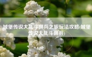 城堡传说大乱斗佣兵之旅玩法攻略(城堡传说大乱斗佣兵)