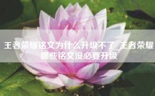王者荣耀铭文为什么升级不了_王者荣耀哪些铭文没必要升级