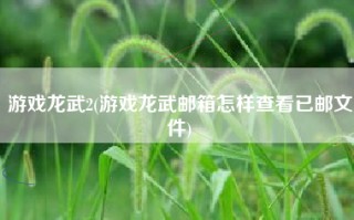 游戏龙武2(游戏龙武邮箱怎样查看已邮文件)