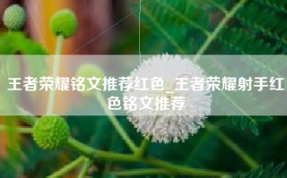 王者荣耀铭文推荐红色_王者荣耀射手红色铭文推荐