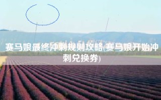 赛马娘最终冲刺规则攻略(赛马娘开始冲刺兑换券)