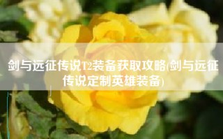 剑与远征传说T2装备获取攻略(剑与远征传说定制英雄装备)