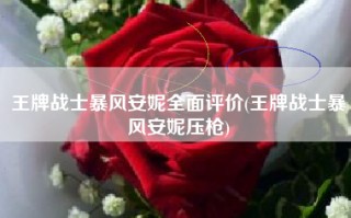 王牌战士暴风安妮全面评价(王牌战士暴风安妮压枪)