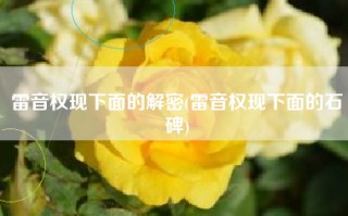 雷音权现下面的解密(雷音权现下面的石碑)