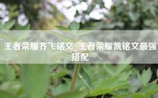 王者荣耀齐飞铭文_王者荣耀凯铭文最强搭配