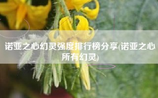 诺亚之心幻灵强度排行榜分享(诺亚之心所有幻灵)
