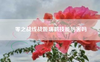 零之战线战姬瑞鹤技能厉害吗
