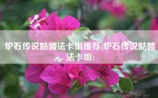 炉石传说骷髅法卡组推荐(炉石传说骷髅法卡组)