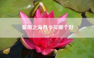 黎明之海月卡买哪个好