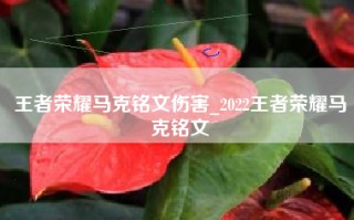 王者荣耀马克铭文伤害_2022王者荣耀马克铭文