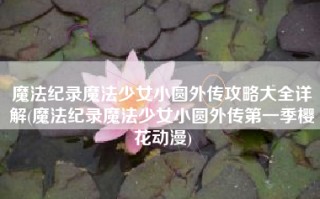魔法纪录魔法少女小圆外传攻略大全详解(魔法纪录魔法少女小圆外传第一季樱花动漫)