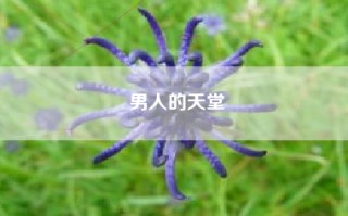 男人的天堂