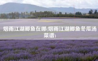烟雨江湖鲫鱼在哪(烟雨江湖鲫鱼冬瓜汤菜谱)