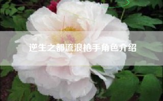 逆生之都流浪枪手角色介绍
