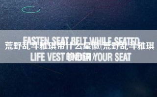 荒野乱斗雅琪带什么星徽(荒野乱斗雅琪的台词)