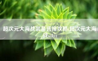 超次元大海战装备选择攻略(超次元大海战wiki)