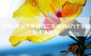 游戏id昵称干净简约二字(游戏id六个字昵称干净简约)