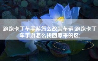 跑跑卡丁车手游怎么改装车辆(跑跑卡丁车手游怎么找回原来的区)