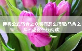 迷雾公式乌合之众雾面怎么搭配(乌合之众·迷雾在线阅读)