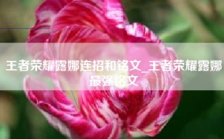 王者荣耀露娜连招和铭文_王者荣耀露娜最强铭文
