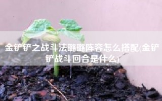 金铲铲之战斗法璐璐阵容怎么搭配(金铲铲战斗回合是什么)