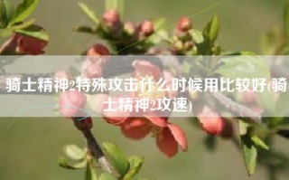 骑士精神2特殊攻击什么时候用比较好(骑士精神2攻速)