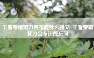 王者荣耀黄刀吕布配什么铭文_王者荣耀黄刀吕布还能玩吗