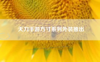 天刀手游方寸系列外装推出