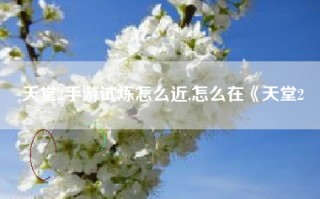 天堂2手游试炼怎么近,怎么在《天堂2