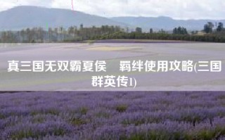真三国无双霸夏侯惇羁绊使用攻略(三国群英传1)