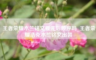 王者荣耀木兰铭文要先后顺序吗_王者荣耀浩克木兰铭文出装