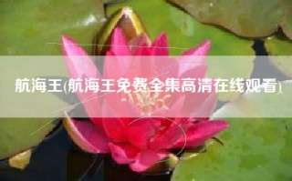 航海王(航海王免费全集高清在线观看)