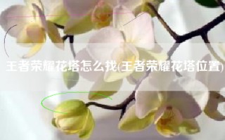 王者荣耀花塔怎么找(王者荣耀花塔位置)