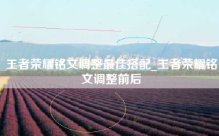 王者荣耀铭文调整最佳搭配_王者荣耀铭文调整前后