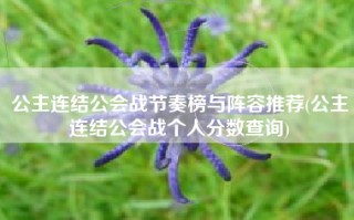 公主连结公会战节奏榜与阵容推荐(公主连结公会战个人分数查询)