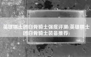 英雄棋士团白骨骑士强度评测(英雄棋士团白骨骑士装备推荐)